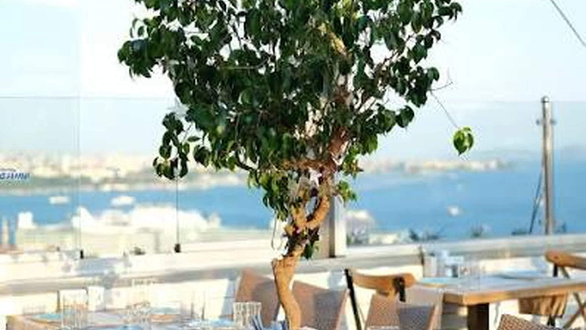 Barba Rasimo 1956 venue